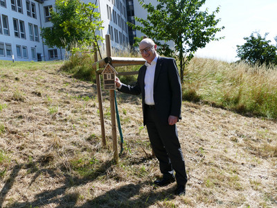 Geschäftsführer Christoph Rolf Maier zeigt das Insektenhotel bei der Luthereiche. Im Hintergrund befindet sich eine naturbelassene Wiese.